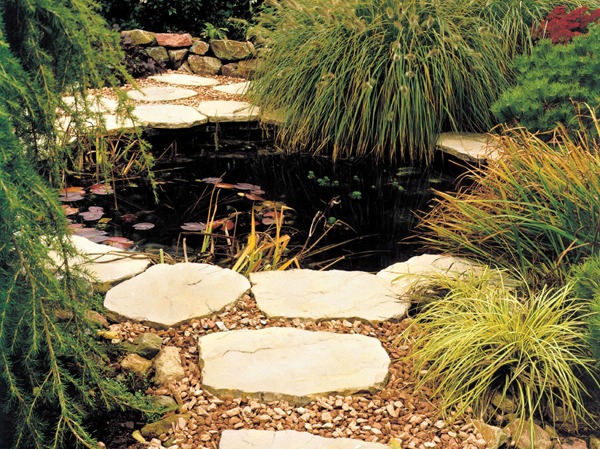 Stepping stones by a small pond
