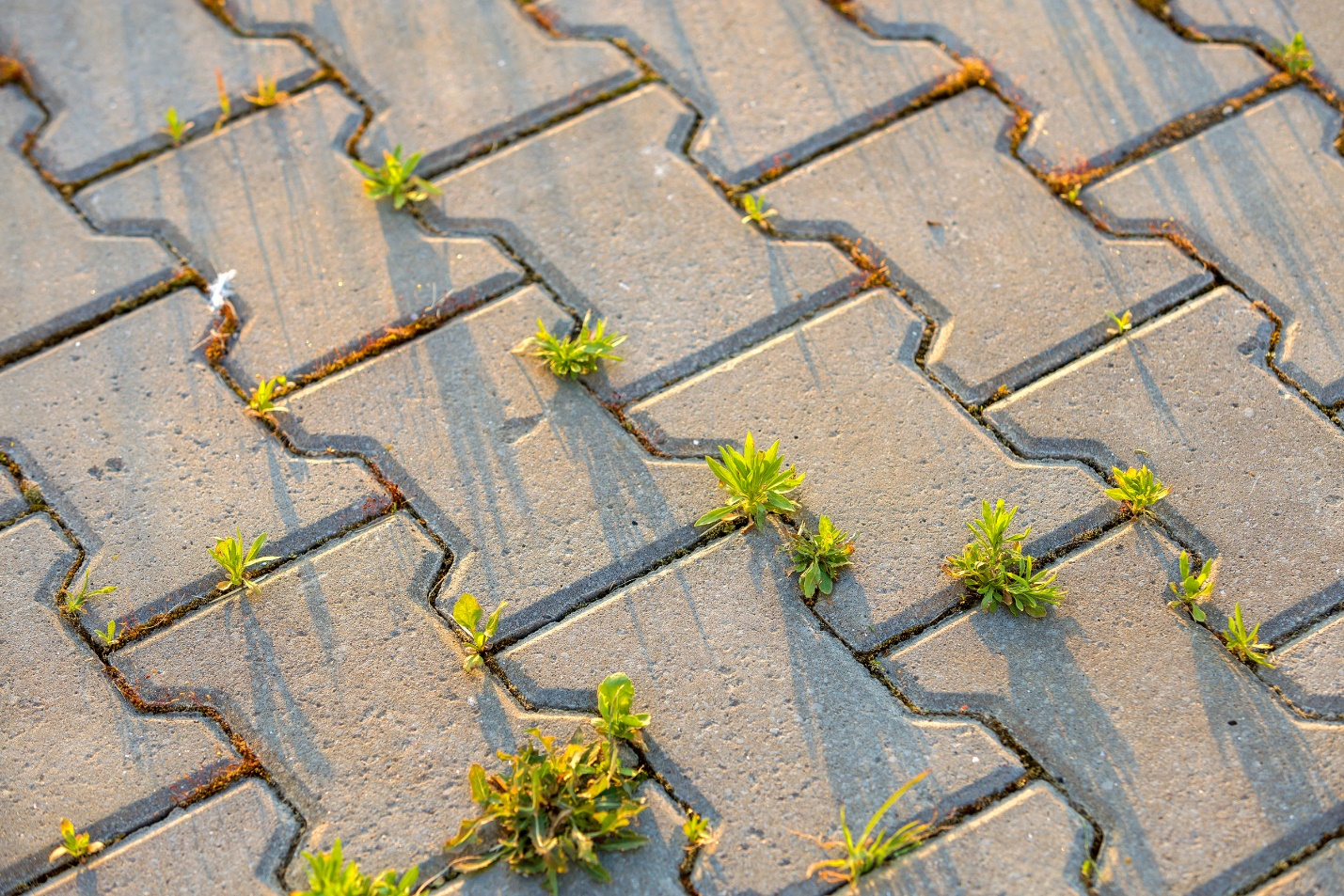 The Expert Guide to Sealing Pavers Nicolock Paving Stones